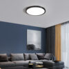 64W LED ŠVIESTUVAS JUODAS 2800K-6000K (valdoma pultu) - Image 3